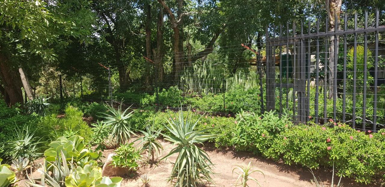 A Farm Stay - Casablanca'S Private Cottage,No Loadshedding! 雾观 外观 照片